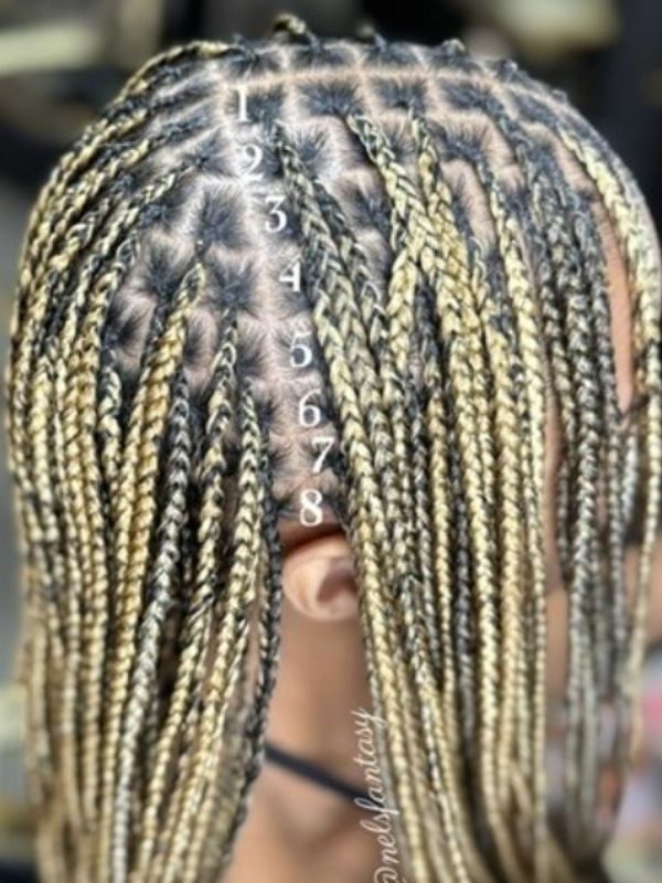 Knotless Braids